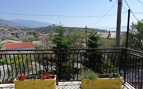 Branka Apartment
